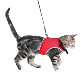 trixie-or-miekkie-szelki-ze-smycza-24-42cm-1-2m
