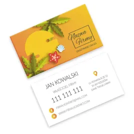 wizytowki-projekt-online-450-wzory-1000szt-300g