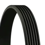 continental-6pk962-pasek-klinowy-wielorowkowy