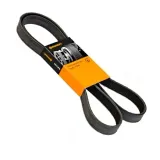 pasek-wielorowk-stan-nowy