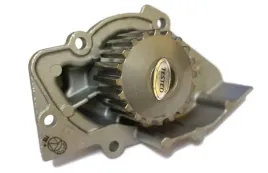 pompa-wody-citroen-peugeot-sztuka