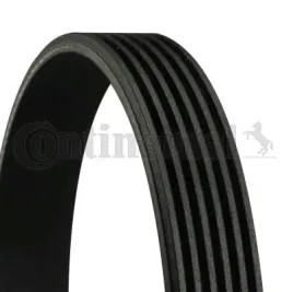 pasek-wzdl-conti