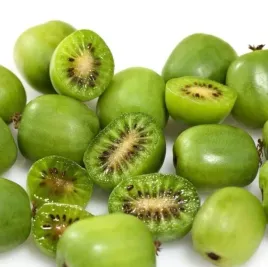 mini-kiwi-aktinidia-issai-obuplciowe-samopylne-mrozoodporne-sadzonki-p9