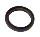 zimering-w-roz-renault-16-04