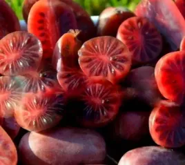 mini-kiwi-ken-s-red-aktinidia-arguta-sadzonka-p9-mrozoodporna-owocujaca