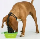 trixie-kaganiec-muzzle-flex-czarny-silikon-xl-kod-producenta-tx-17616