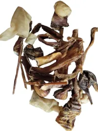 mix-malych-gryzakow-dla-psa-100percent-naturalny-500g