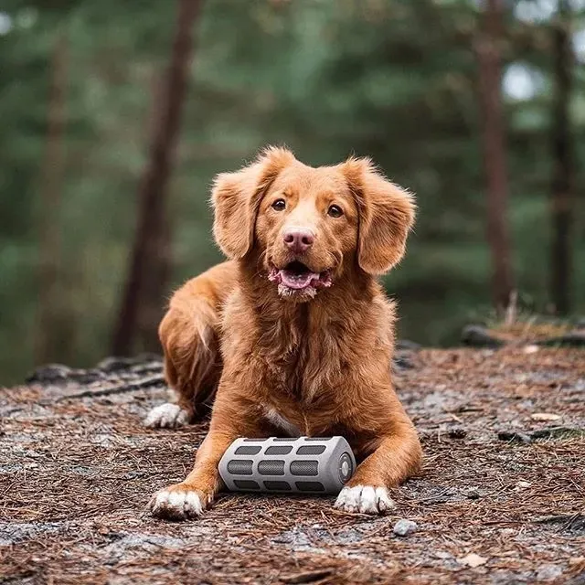 glosnik-bluetooth-bluspeaker-od-300-technisat