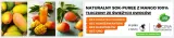 sok-mango-puree-barman-nfc-5l-produkt-nie-zawiera-antyzbrylaczy-barwnikow-cholesterolu-cukru-drozdzy-glutenu-gmo-jajek-konserwantow-laktozy-nabialu-oleju-palmowego-orzechow-pestek-pszenicy-soi-tluszczy-trans-utwardzanych
