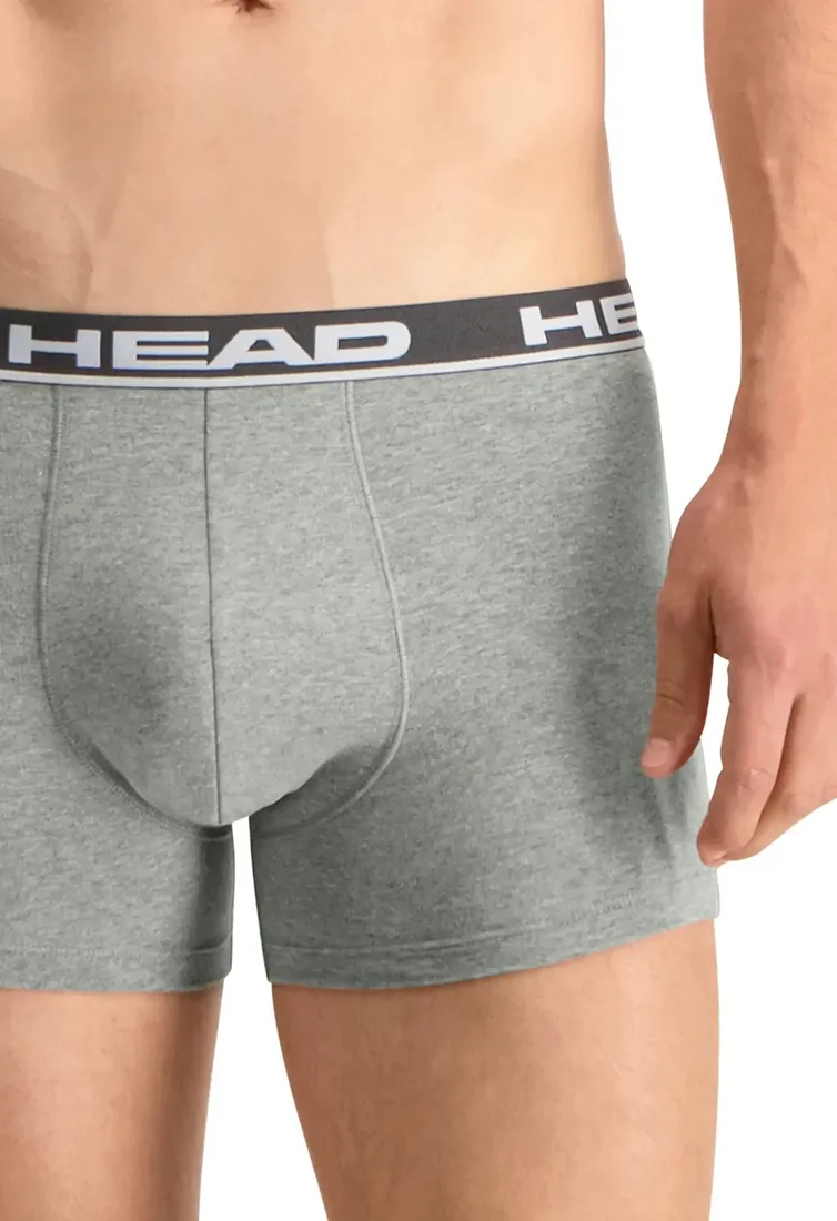 head-bokserki-meskie-basic-boxer-2p-gray-r-m