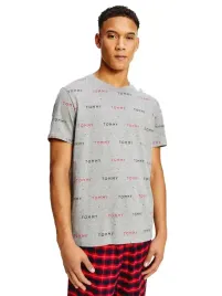 tommy-hilfiger-koszulka-meska-t-shirt-gray-r-m