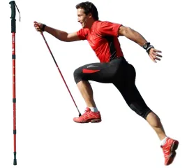 kijki-kij-nordic-walking-do-chodzenia-kije-pcv