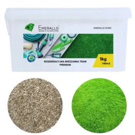 barenbrug-trawa-emeralld-regeneracyjna-premium-1kg