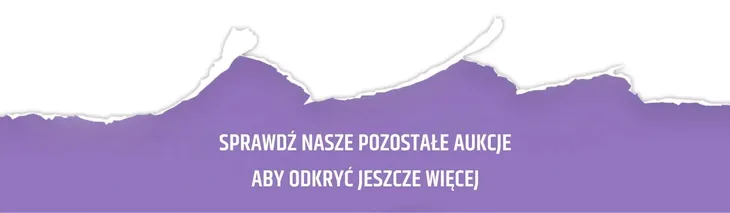tusz-do-pieczatek-stempli-noris-110s-niebieski-kolor-tuszu-niebieski