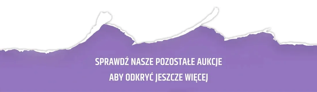 tusz-do-pieczatek-stempli-noris-110s-niebieski
