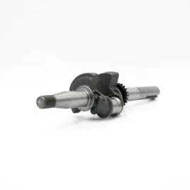 wal-korbowy-briggsandstratton550e-590538-70x22-2