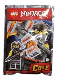 lego-ninjago-minifigure-polybag-cole-6-891953