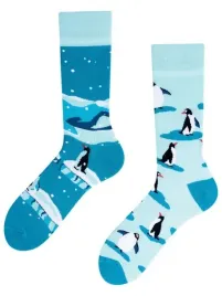 skarpetki-polskiej-firmy-todo-socks-pingwin-35-38