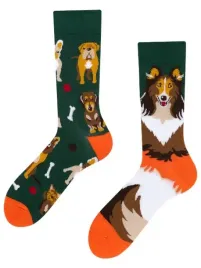 skarpety-kolorowe-todo-socks-dogs-pieski-kosc-4346