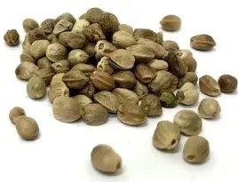 konopie-ziarno-nieluskane-5kg