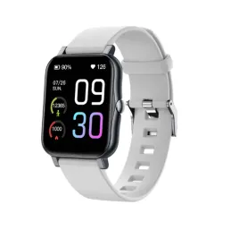 169-calowy-smartwatch-gts2-sport-szary