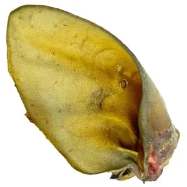 ucho-wolowe-duze-gryzak-dla-psa-1-sztuka-luz