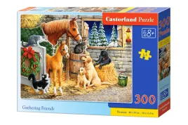 puzzle-300-gathering-friends-bn-b-030255-castor