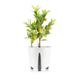 doniczka-donica-z-tworzywa-na-kwiaty-z-wkladem-eko-30cm-palmowka-doniczka