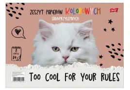 zeszyt-papierow-kolorowych-kreatywnych-samoprzylepnych-b4-8-kartek