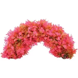 zolux-napowietrzacz-aeroplant-luk