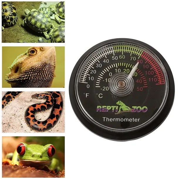 termometr-terrarium-terrarystyczny-analogowy-stan-nowy