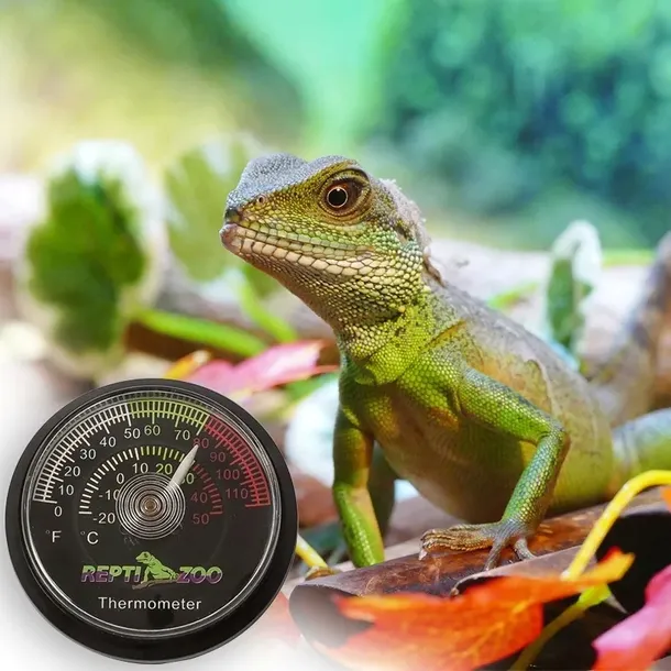 termometr-terrarium-terrarystyczny-analogowy-zakres-pomiaru-temperatury-20-50-c