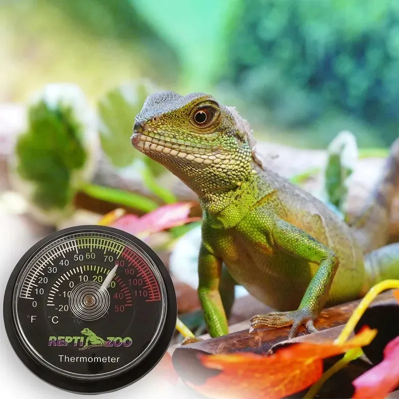 termometr-terrarium-terrarystyczny-analogowy-stan-nowy