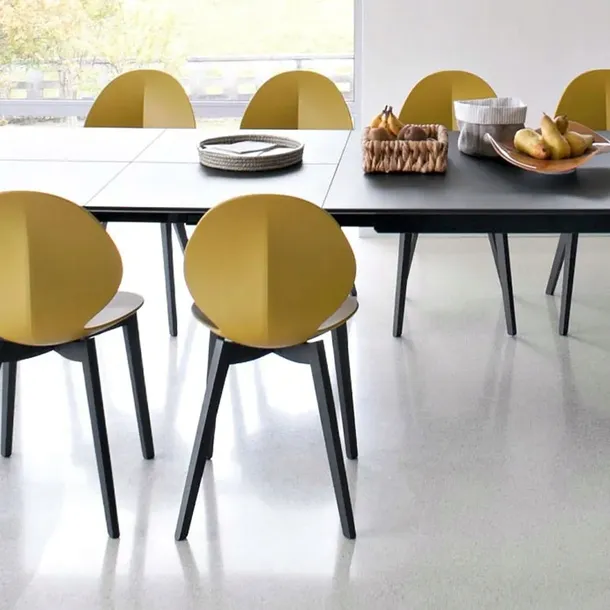 krzeslo-dankor-design-basil-calligaris-kolory-kolor-korpusu-buk-jasny