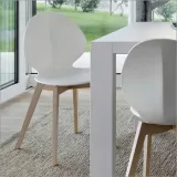 krzeslo-dankor-design-basil-calligaris-kolory-marka-dankor-design