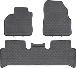 renault-scenic-ii-2003-2009-gumowe-do-auta