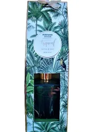 dyfuzor-zapachowy-z-patyczkami-200-ml-cactus-430