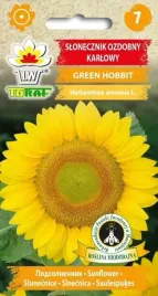 slonecznik-karlowy-green-hobbit-nasiona-toraf