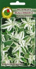 wilczomlecz-bialobrzegi-03g-nasiona-pnos-ozarow