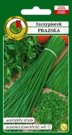 szczypiorek-prazska-2g-nasiona