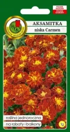 aksamitka-pelna-niska-carmen-miodowa-1g-nasiona