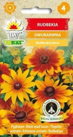 rudbekia-dwubarwna-miododajna-nasiona-toraf
