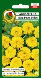 aksamitka-pelna-niska-petite-yellow-zolta-nasiona