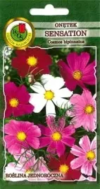 onetek-sensation-kosmos-1g-nasiona-warszawianka