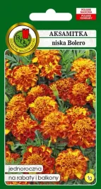 aksamitka-pelna-niska-bolero-miodowa-1g-nasiona