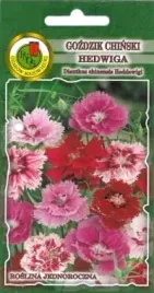 gozdzik-hedwiga-baby-doll-1g-nasiona-pnos-ozarow