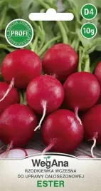 rzodkiewka-ester-wczesna-10g-wegana-nasiona