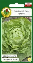 salata-glowiasta-maslowa-adinal-1g-nasiona-pnos