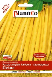 fasola-szparagowa-karlowa-elektra-48g-nasiona