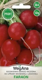 rzodkiewka-faraon-b-wczesna-10g-wegana-nasiona